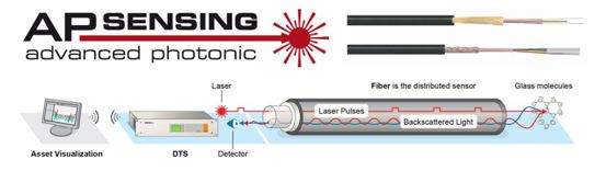 AP SENSING