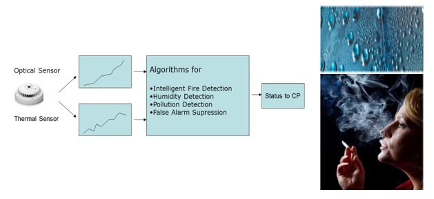 detectomant_yangin